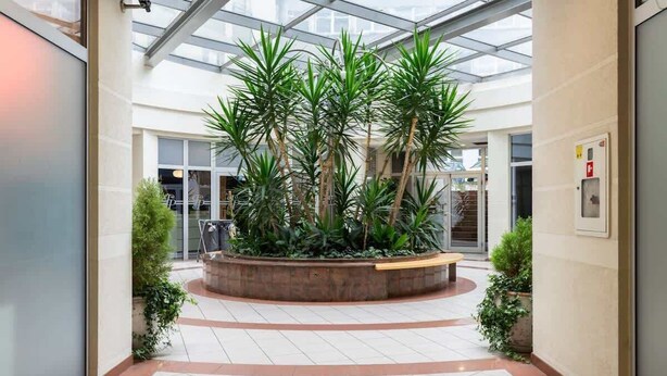A spacious atrium with a central planter containing tall green plants, surrounded by a tiled floor and glass ceiling.