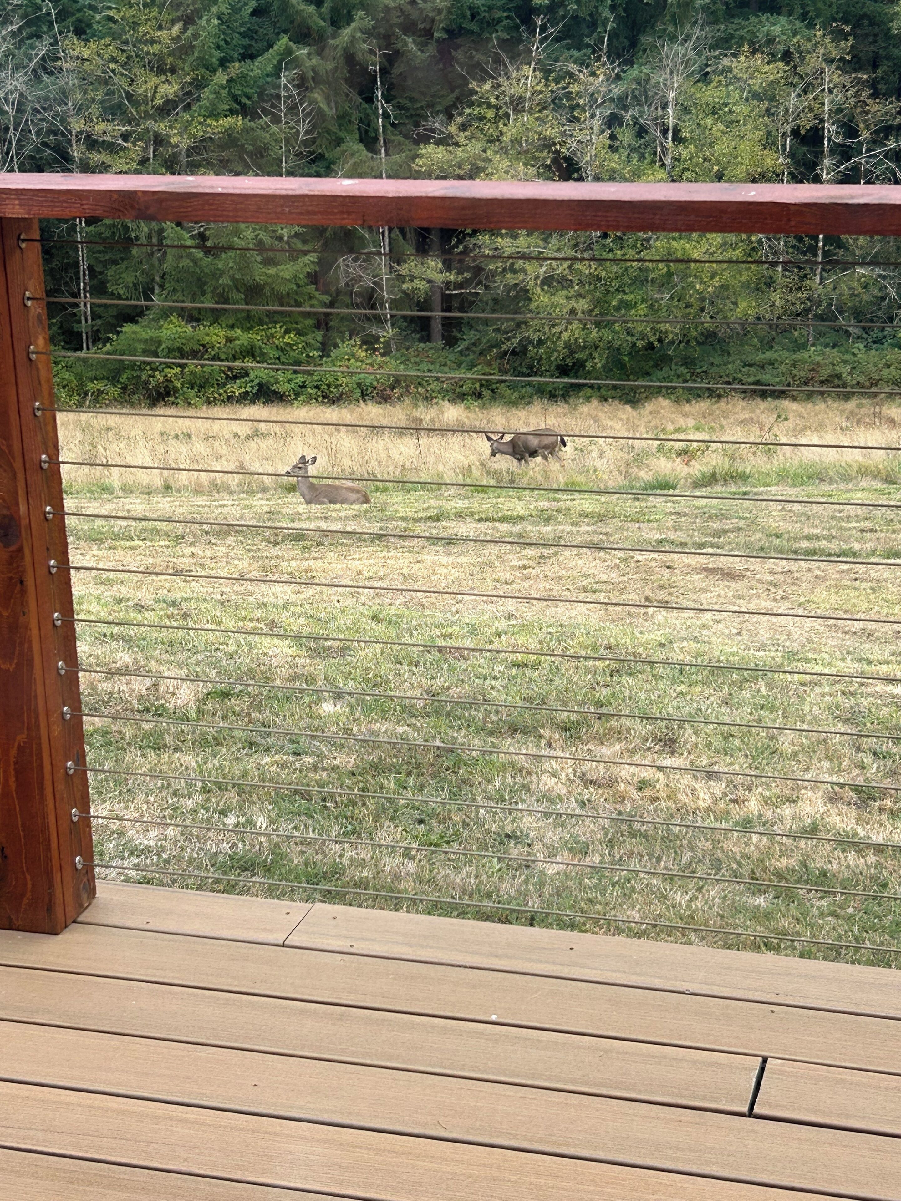 Àrea exterior de l'allotjament