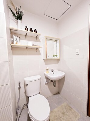 Shower, hair dryer, bidet, towels