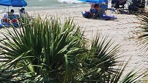 Uma praia com pessoas, guarda-sóis azuis e ondas do oceano.