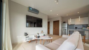 Flachbildfernseher, Arbeitsbereiche