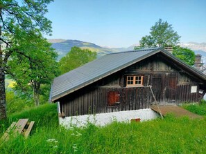 Une cabane rustique en bois, dotée d’un toit en pente, d’une petite fenêtre et d’une porte en bois.