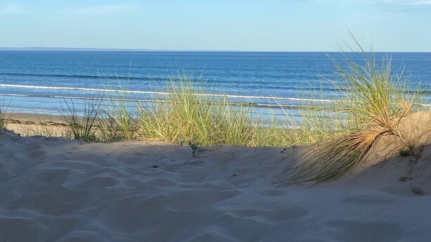 Ein Strand mit Dünen und Gras im Vordergrund, der zum Meer führt.