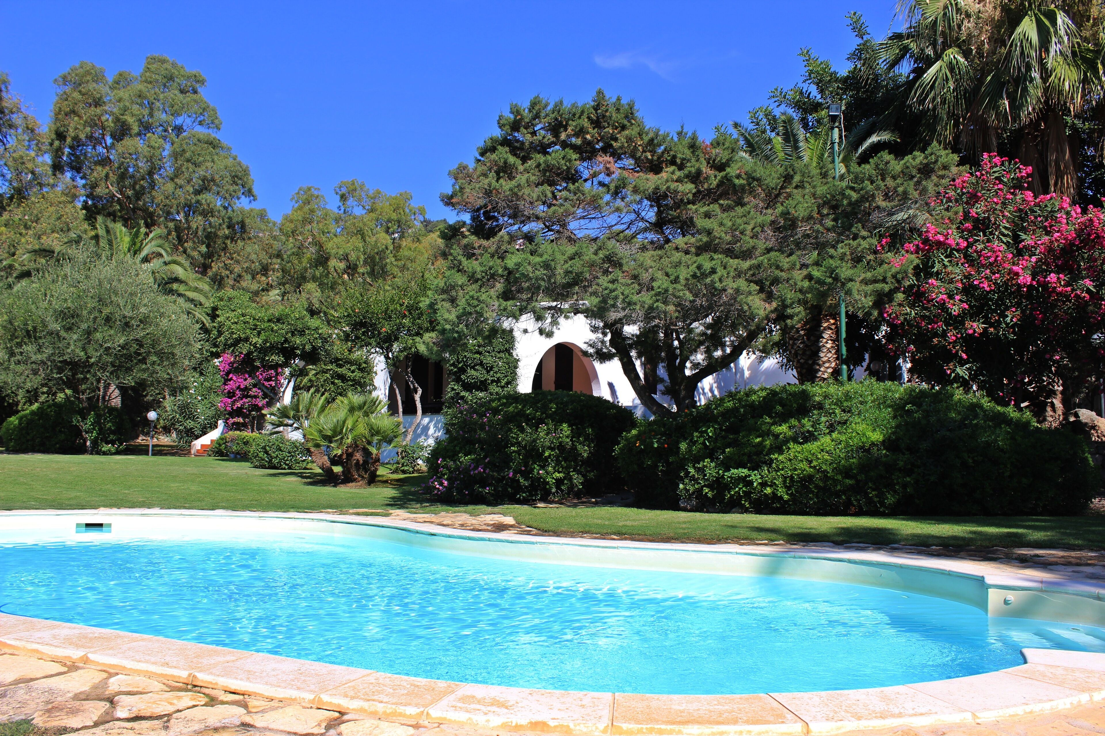 A swimming pool surrounded by lush greenery and a white building with an arched entrance.