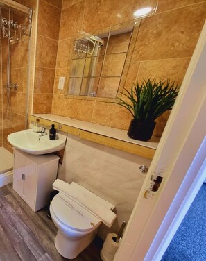 A bathroom with a white sink, a toilet, a shower, and a mirror. - Bull's Ring 3bed Penthouse City Centre (Birmingham)
