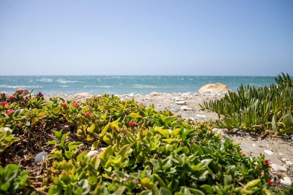 House | Beach - Captivating Lake & Oceanview Getaway House (Meneou)