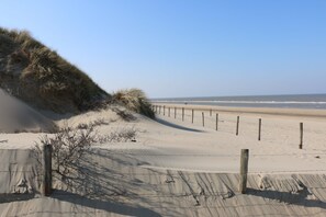 Playa
