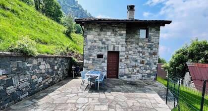Chalet surrounded by greenery