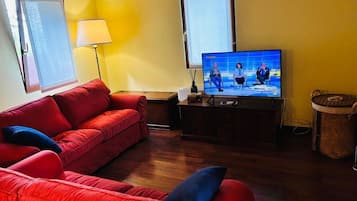TV connectée, cheminée, livres, médiathÚque
