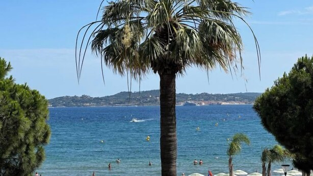 A beach with palm trees, umbrellas, and people enjoying the water. - Les Dauphins by Interhome (Sainte Maxime)
