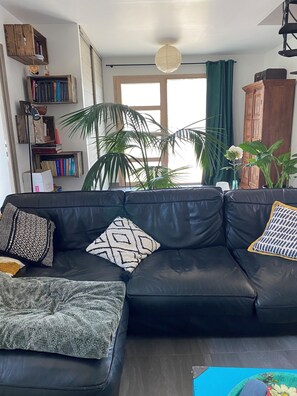 Télévision, table de tennis de table, livres, chaîne hi-fi