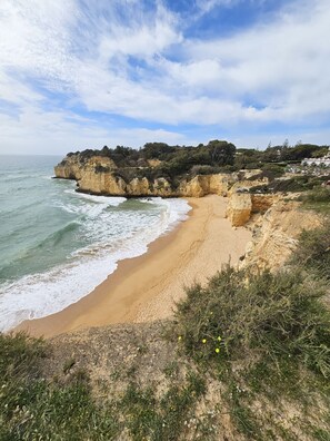 Playa