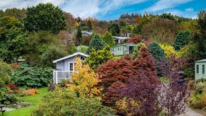 Ein Wohngebiet mit Häusern, umgeben von üppiger Vegetation und Bäumen.