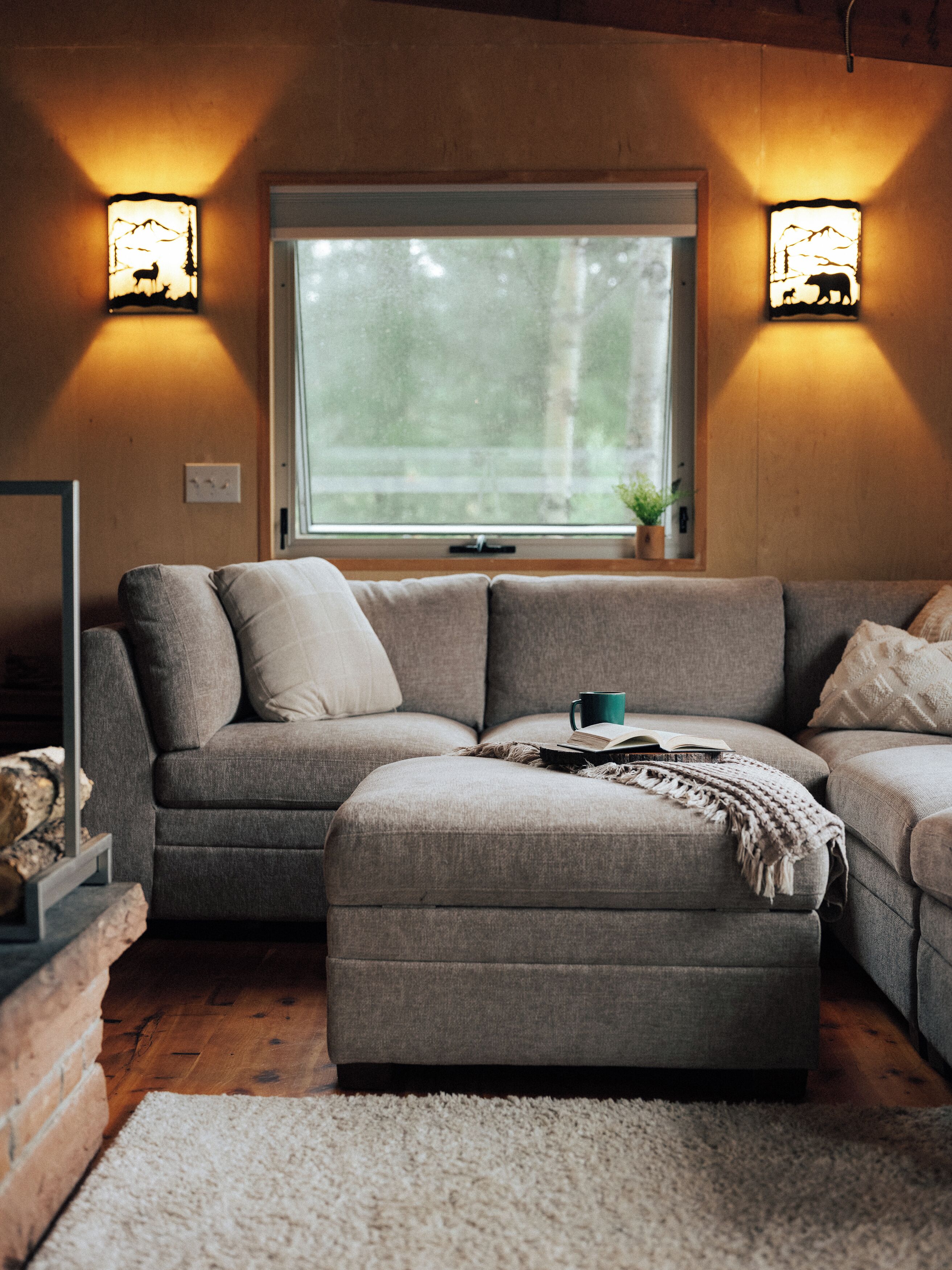Smart TV, fireplace, books