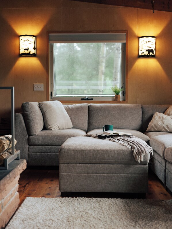 Smart TV, fireplace, books