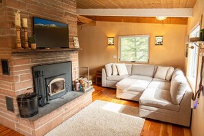 Una Smart TV, una chimenea, libros