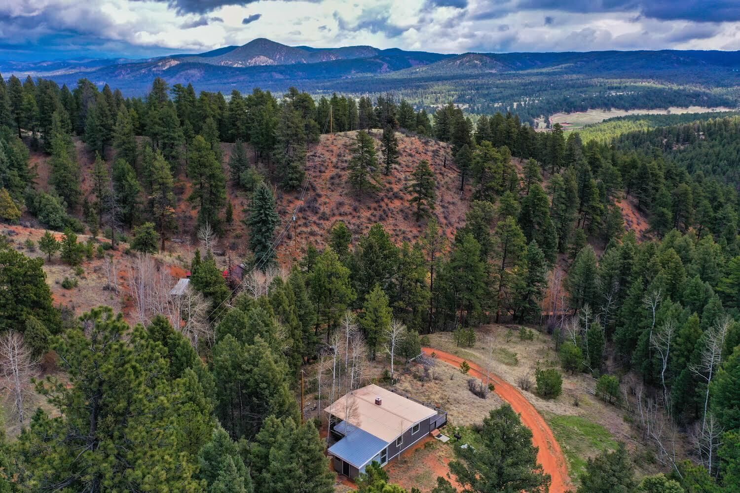 Cozy cabin in Pike National Forest 