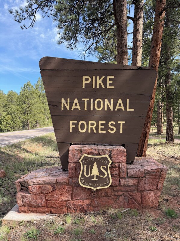 A wooden sign for Pike National Forest with a U.S. Forest Service emblem. - Pike National Forest Cabin with Mountain Views, Deck & Wood Fireplace (Woodland Park)