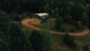 Una cabaña aislada rodeada de un bosque denso, con un sendero de tierra que lleva a ella.