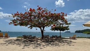 A beach with a large tree in the center, surrounded by wooden chairs and tables.