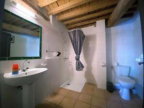 Standard Triple Room | Bathroom | Shower, hair dryer, towels, soap - Orangerie de Cardet B&B (Cardet)