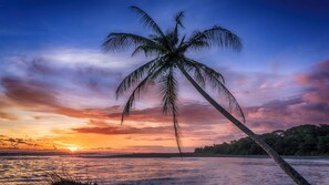 بالقرب من الشاطئ، كراسي للتشمس، مناشف للشاطئ