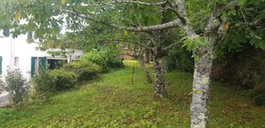 Boendeområde