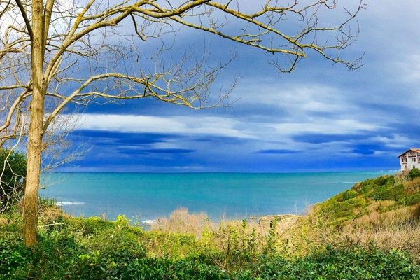 Miscellaneous