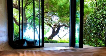 authentique house, ocean first line, private access to the beach