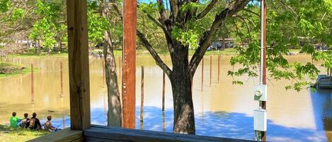 A wooden deck with a view of a large tree and a flooded area.