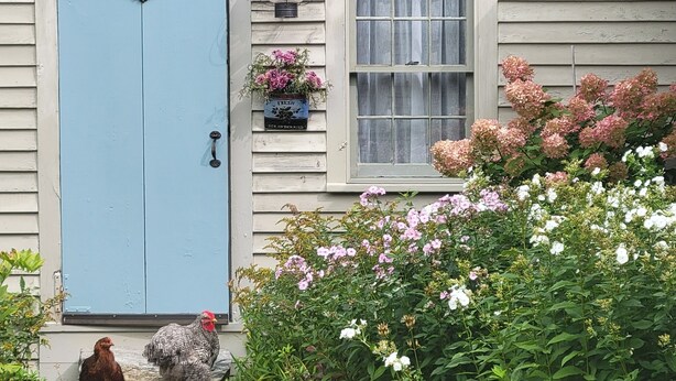 Une maison avec une porte bleue, une fenêtre ornée d’un rideau et une jardinière fixée au mur.
