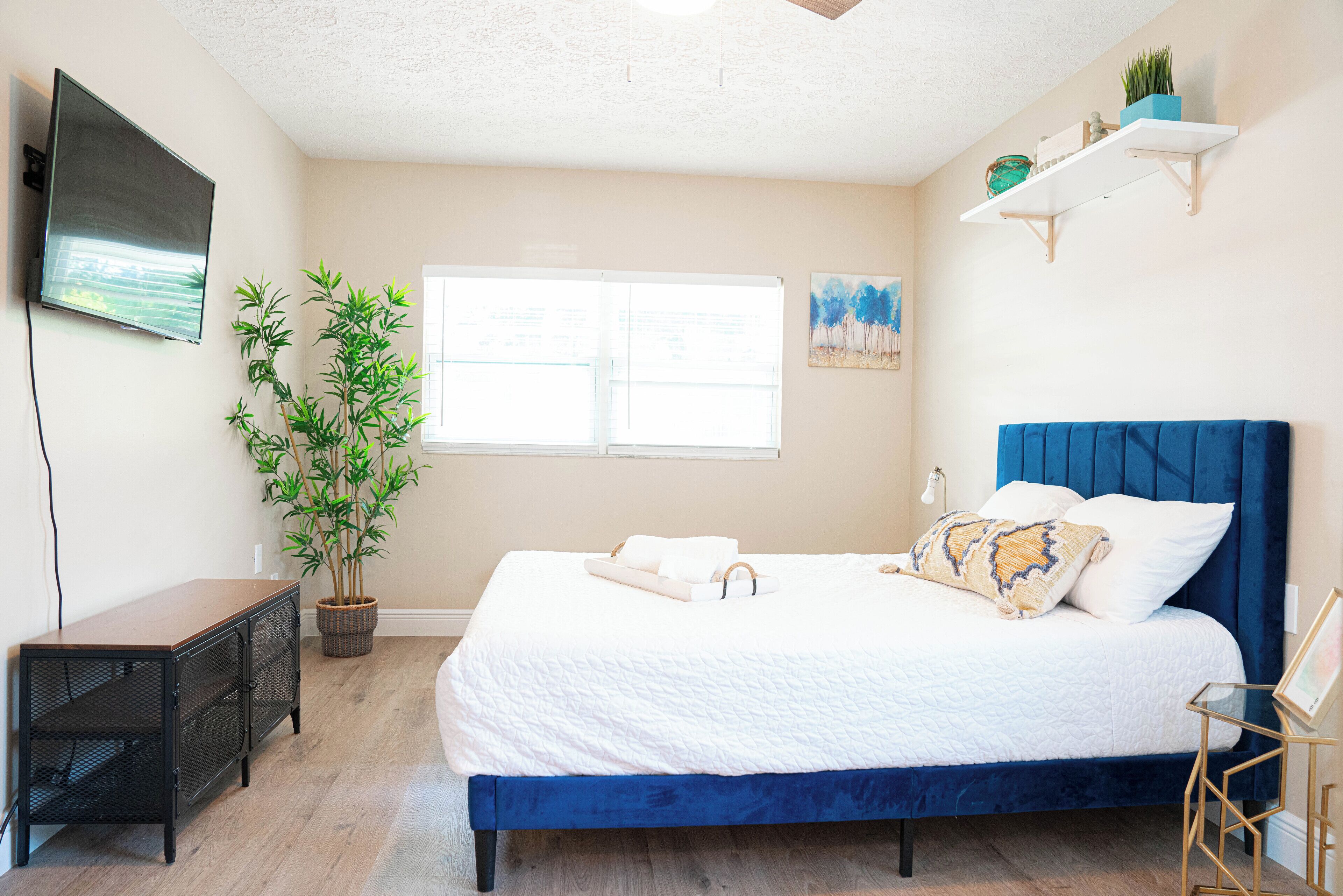 A bedroom with a bed, a TV, a plant, and a window.