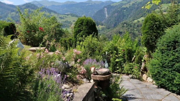 Un jardín con diversas plantas y flores, un camino de piedra y vistas a un paisaje montañoso.