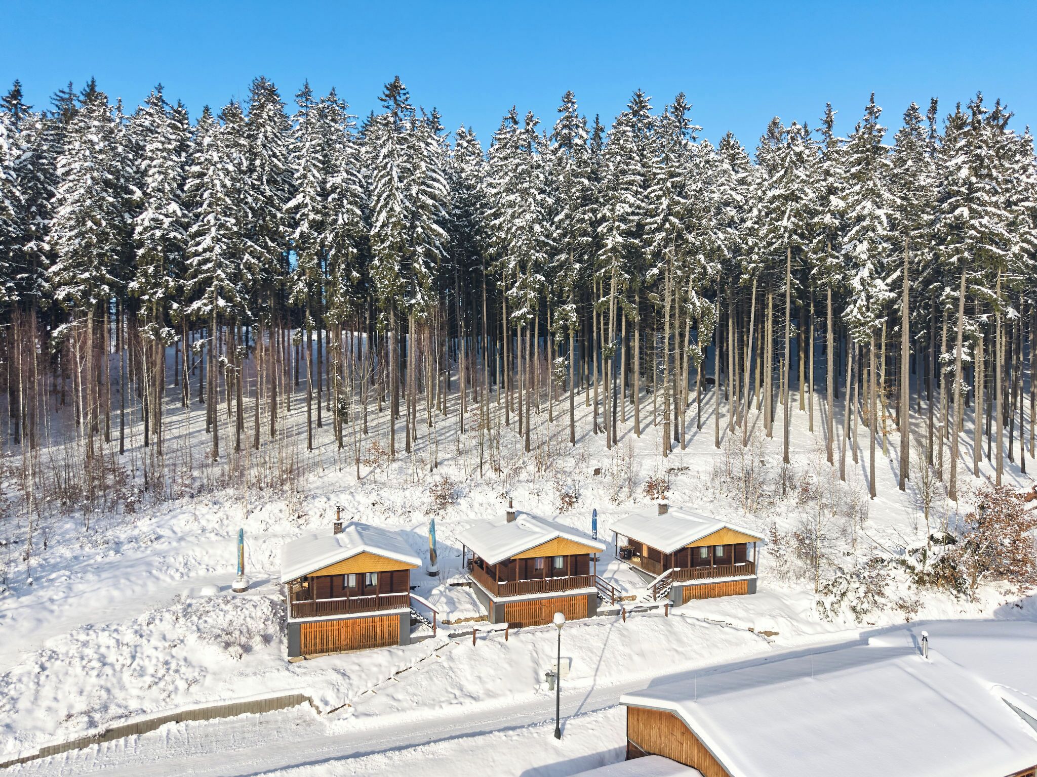 A snow-covered forest with three wooden cabins.