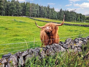Unclassified image, 5 of 35, button - Beautiful holiday cottage located in the Cairngorms National Park. (Newtonmore)