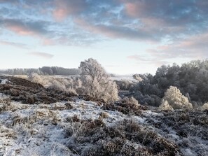 Unclassified image, 4 of 35, button - Beautiful holiday cottage located in the Cairngorms National Park. (Newtonmore)