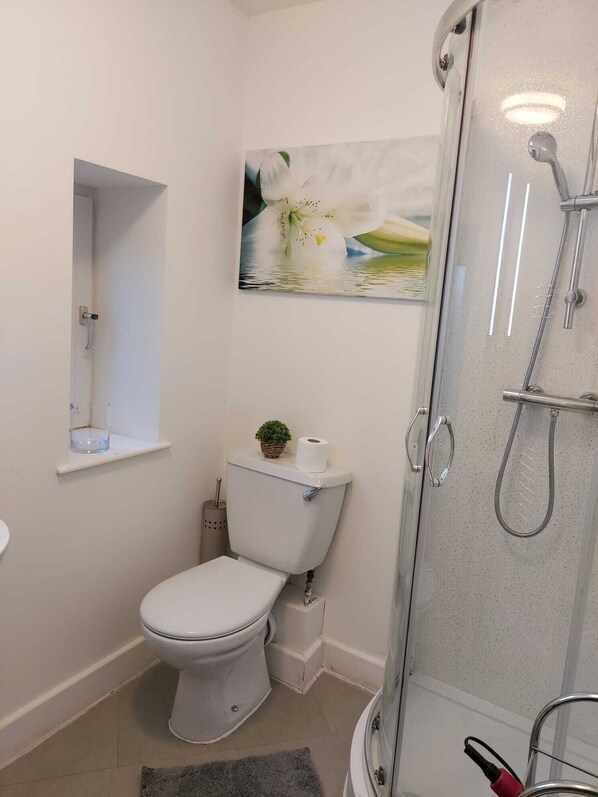 Un baño moderno con inodoro, cabina de ducha de vidrio y un estante pequeño con una planta y papel higiénico.
