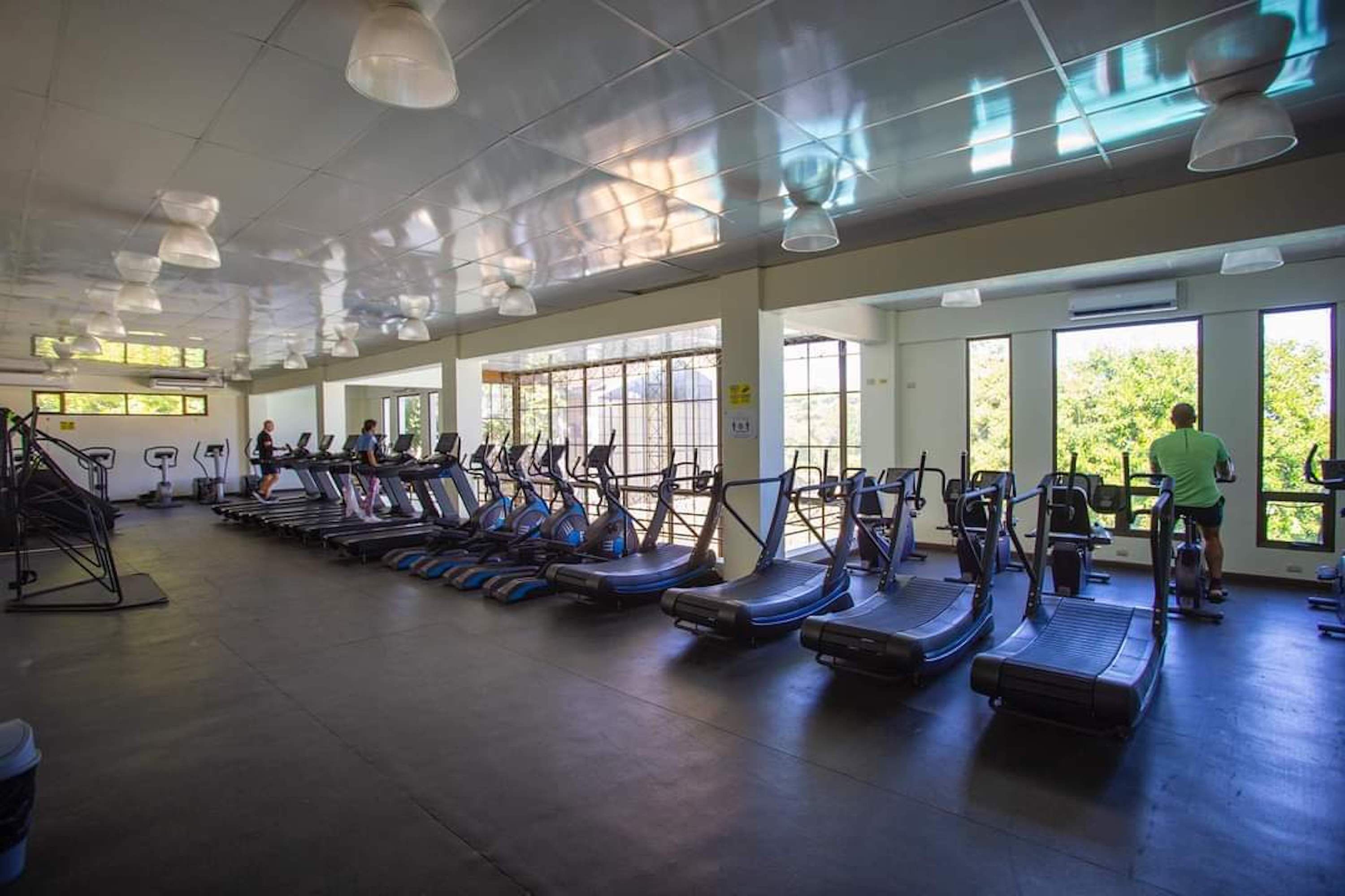 A gym with treadmills and elliptical machines, large windows, and a person working out.