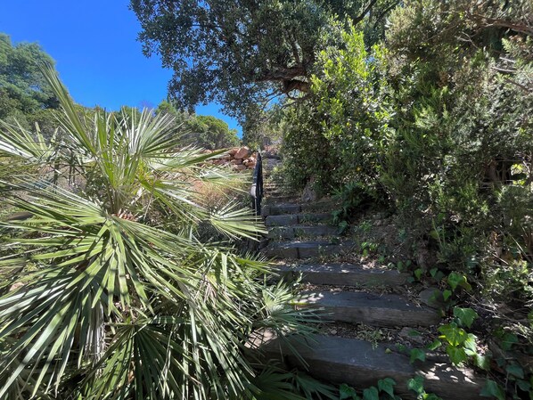 Property grounds - Locations de Villas à Louer Directement (Cavalaire-sur-Mer)