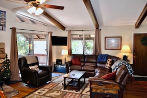 Smart TV, chimenea, reproductor de DVD y libros