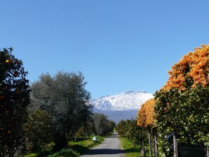 Exterieur