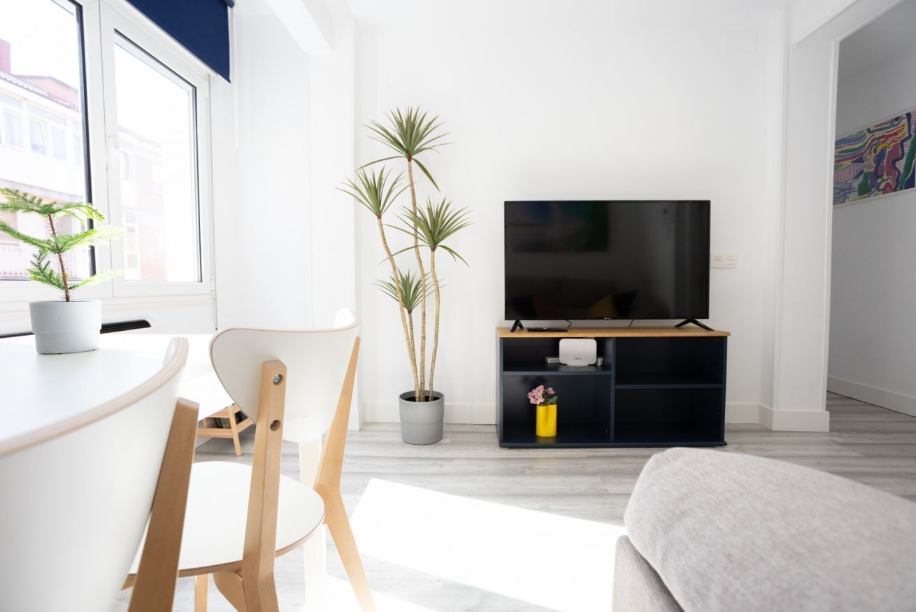 Fernseher