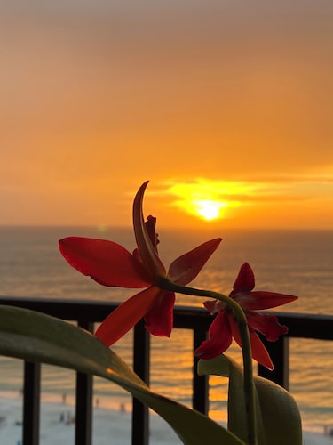 SEA WINDS 1201 Beach Front Getaway with spectacular views of the Gulf!