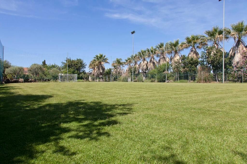Ampio prato aperto con un campo da calcio, circondato da palme e una recinzione.