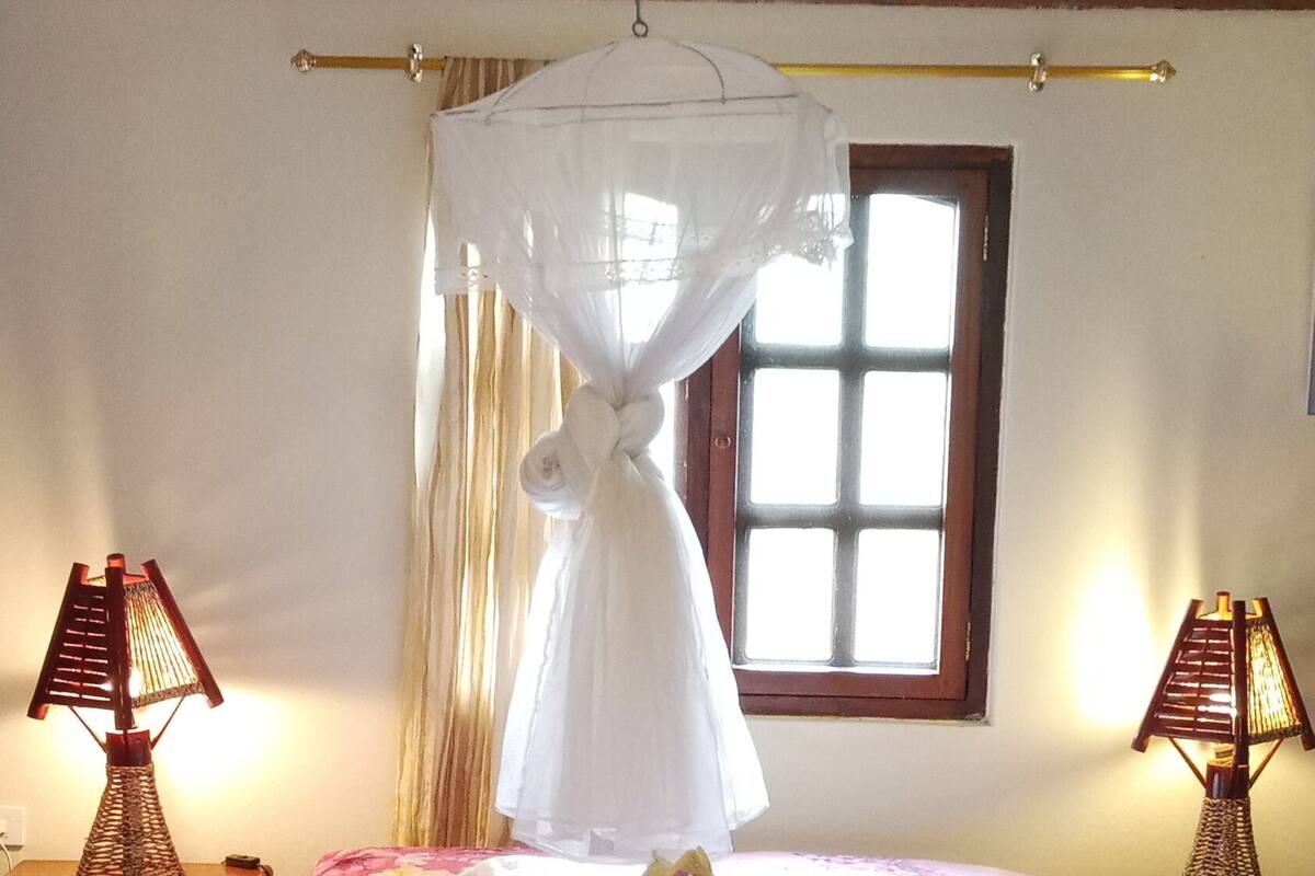 A bedroom with a floral bedspread, a canopy bed, two bedside lamps, and a window with curtains.