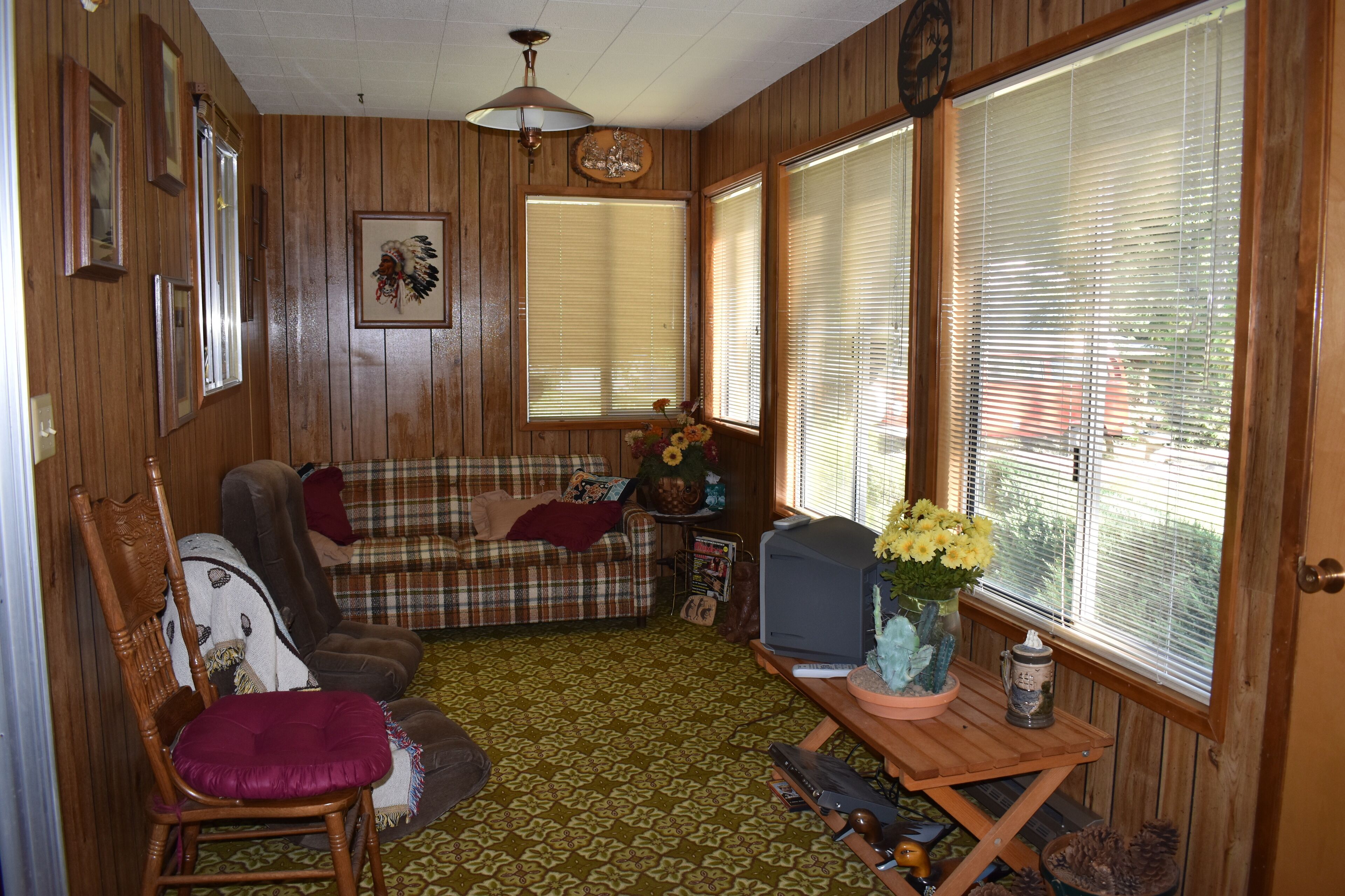 TV, lareira, DVD player, livros