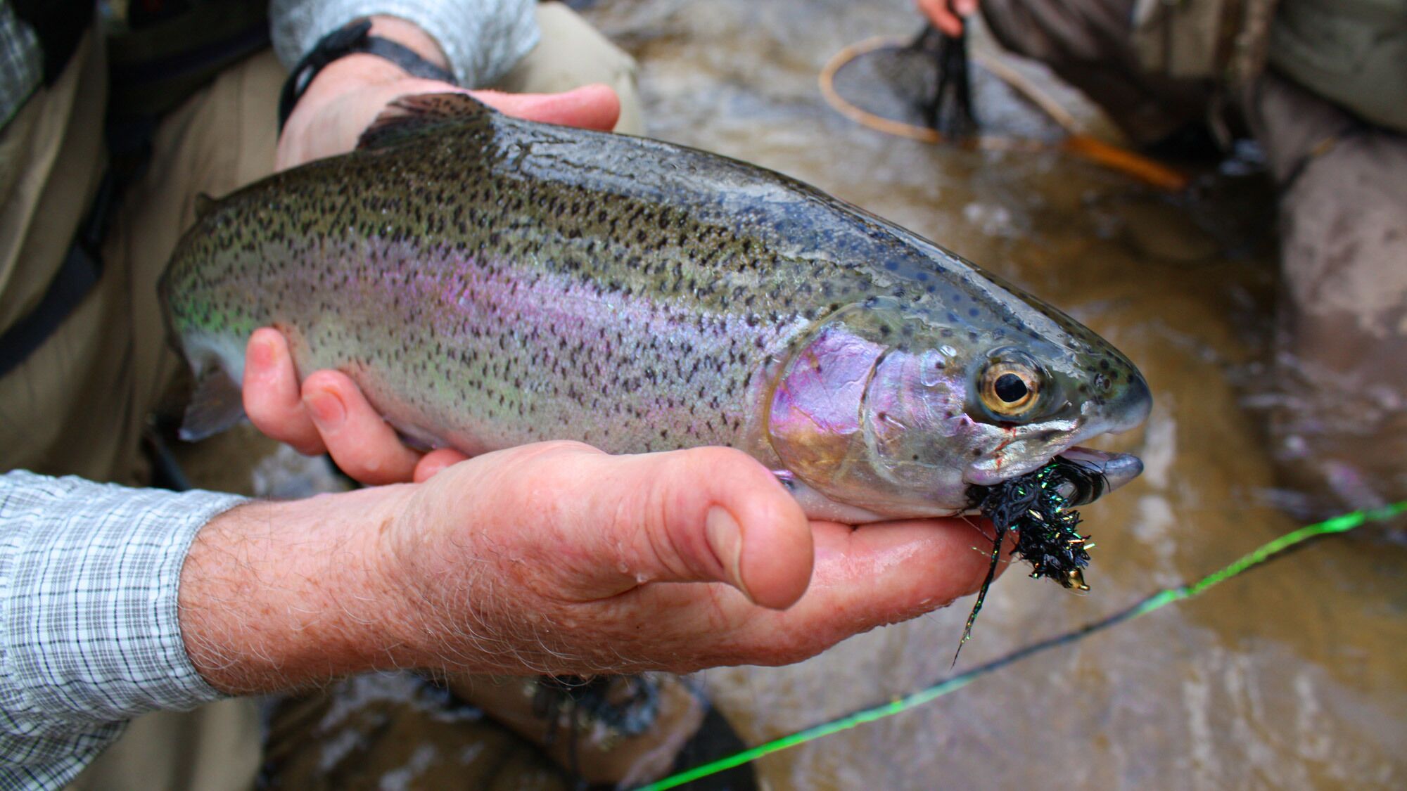 A person holding a fish with a hook in its mouth.
