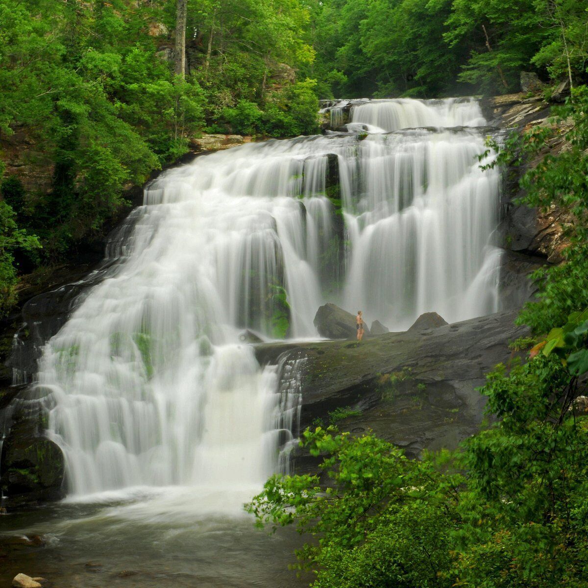 Una cascada se precipita sobre terreno rocoso, rodeada de frondosa vegetación verde.