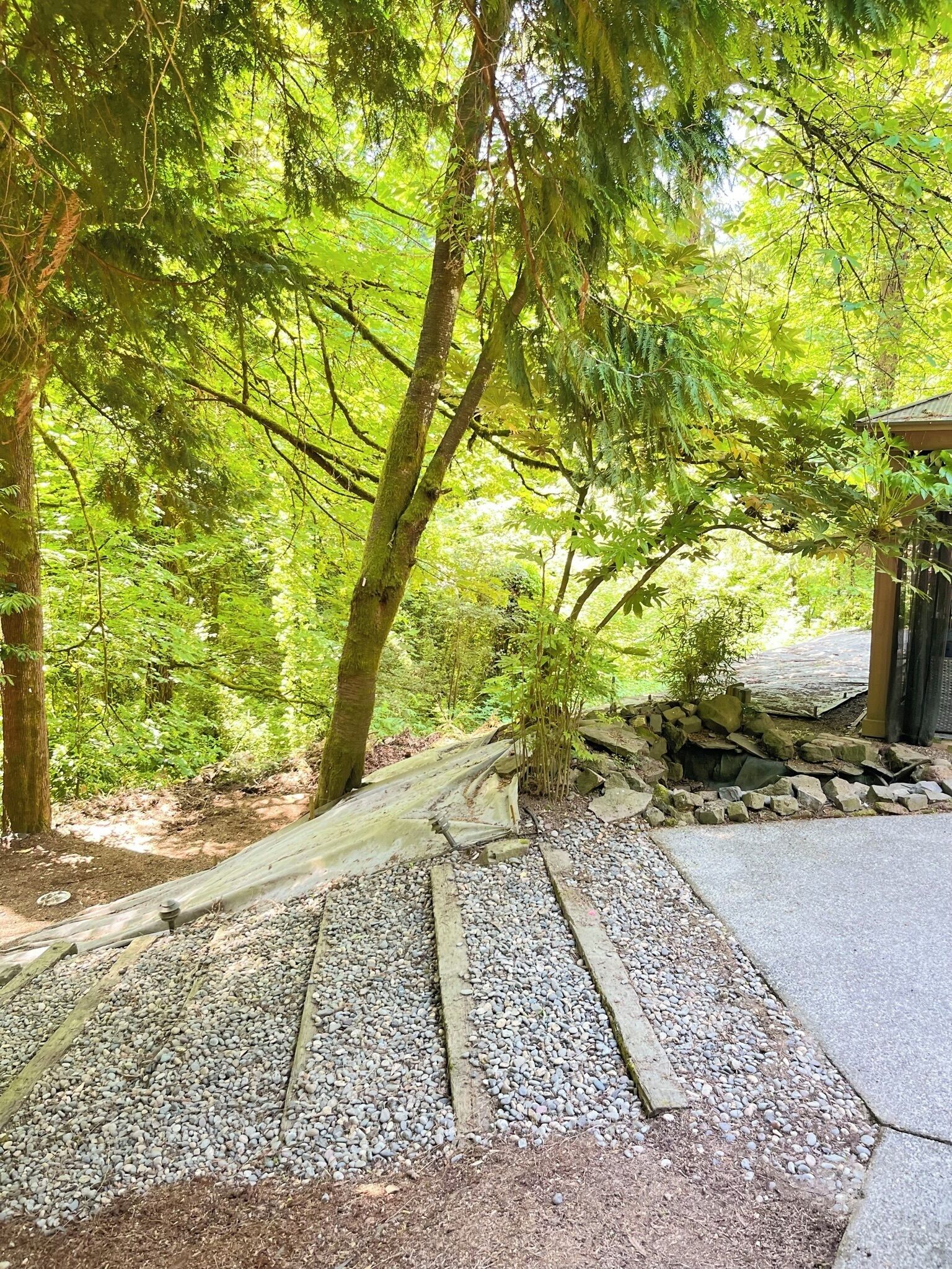 A pathway leading through a forested area with a small structure on the right.