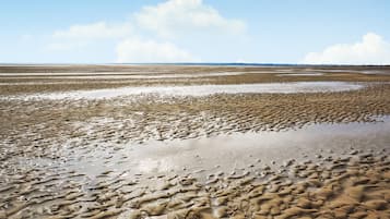 Vlak bij het strand